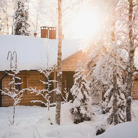 Vaattunki Wilderness Rovaniemi