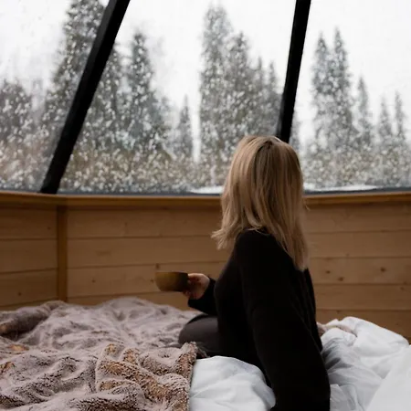 Vaattunki Wilderness Orman Evi Rovaniemi