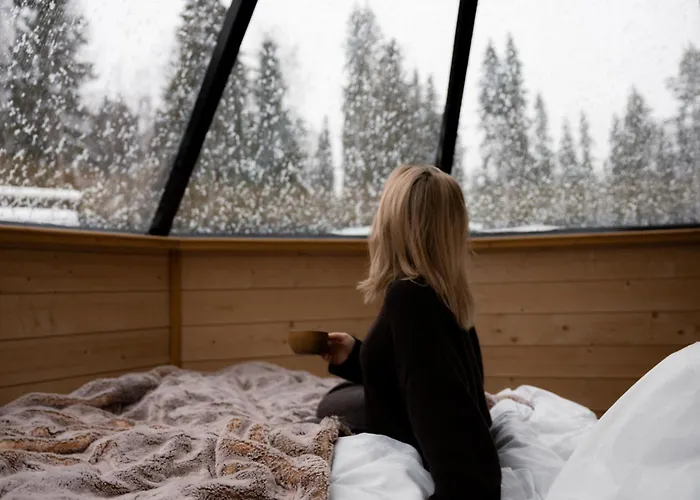 Vaattunki Wilderness Orman Evi Rovaniemi