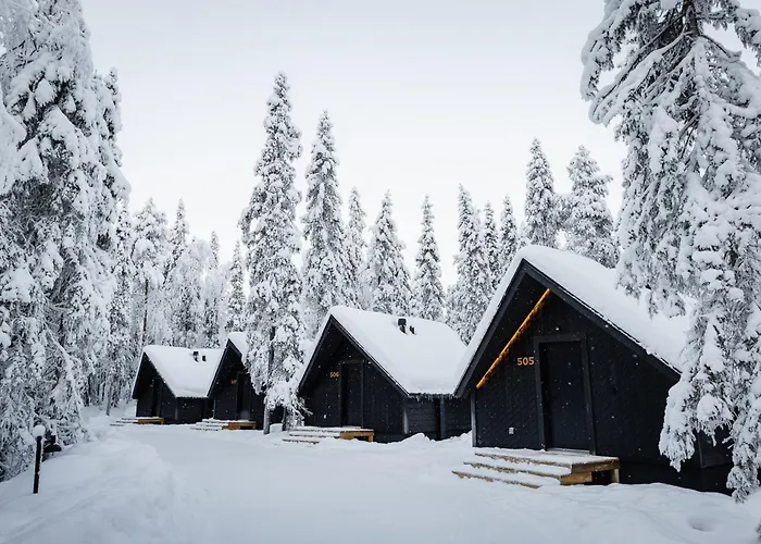 Orman Evi Vaattunki Wilderness